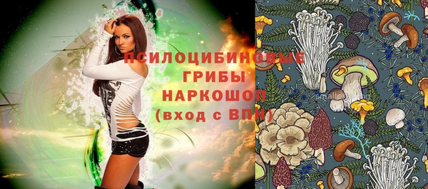 СК Абдулино