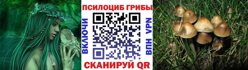 сколько стоит  Питкяранта  Галлюциногенные грибы ЛСД 